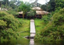 Amazon Tupana Jungle Lodge