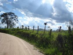 Estrada para Cachoeira