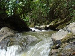 Cachoeira dos Fonseca