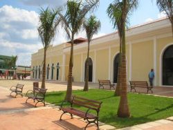 Mercado Velho Revitalizado