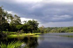 Lago Januari  