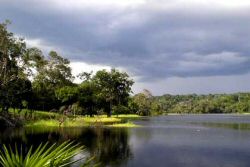 Vista do Lago Janauari