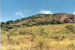 Pedra da Embocadura