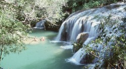 Estância Mimosa