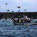  Barco de Pesca<BR />Créditos: Governo de Pernambuco