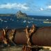  Ilhas Secundárias<BR />Créditos: Governo de Pernambuco