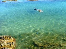 Mergulho nas Piscinas de Tamandaré