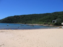 Praia da Tartaruga