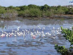 Parque Dormitório das Garças