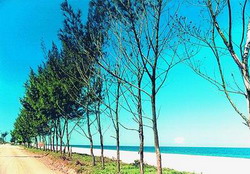 Praia de Jacone