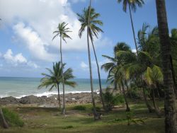 Paisagem em Itacaré