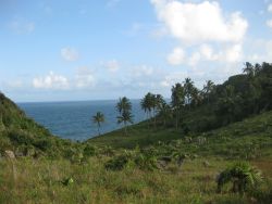 Paisagem em Itacaré