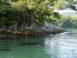 Praia do Biguá