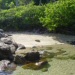  Praia do Cachalote<BR />Créditos: Prefeitura Municipal de Bombinhas