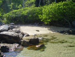 Praia do Cachalote