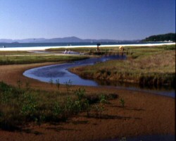 Praia da Cachoeira