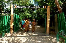 Reserva da Jaqueira