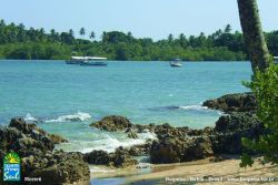 Praia de Moreré - Boipeba - Bahia