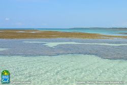 Piscinas Naturais em Boipeba