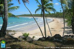 Praia de Coeira - Separada da praia de Tassimirim por um bloco de coral.