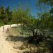  Praias de Boipeba<BR />Créditos: Michael Strugale