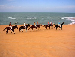 Passeio a Cavalo
